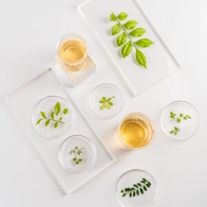 oil, medicinal, nature, healthy, herbs, plant, organic